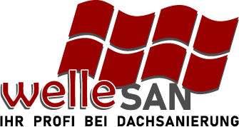 welleSAN Logo
